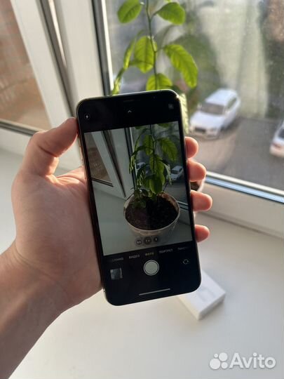 iPhone 11 Pro Max, 512 ГБ