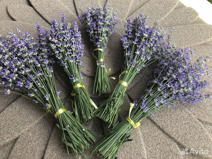 Букетики лаванды