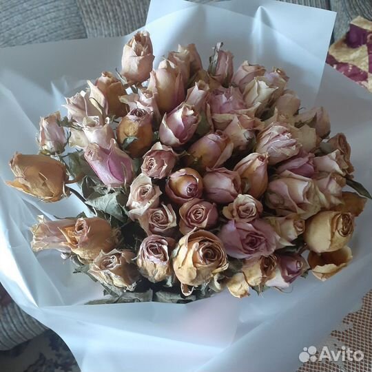 Сухие цветы для творчества