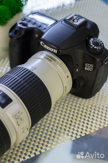 Canon EOS 60D kit Canon EF 70-200mm F4.0 L IS USM