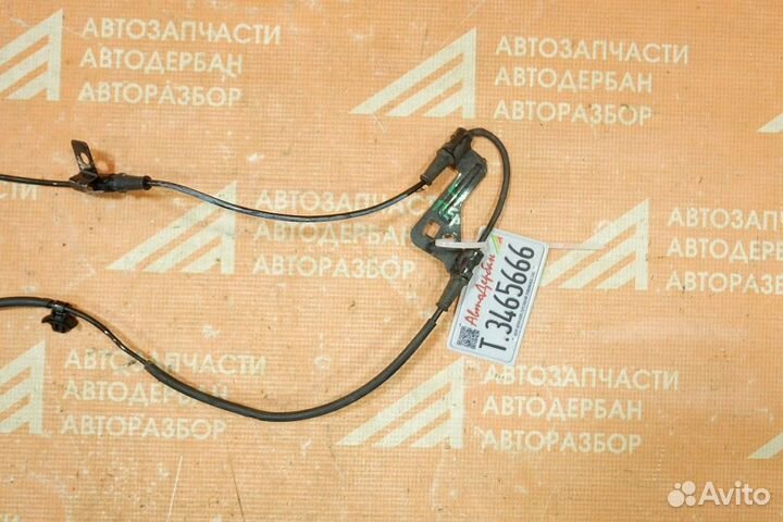 Датчик ABS передний левый Kia Ceed CD (2018)