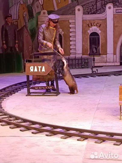 Уголок Дурова