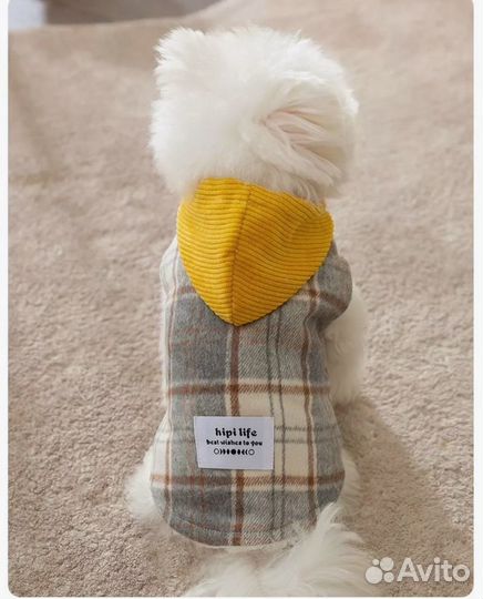 Новый жилет для собак