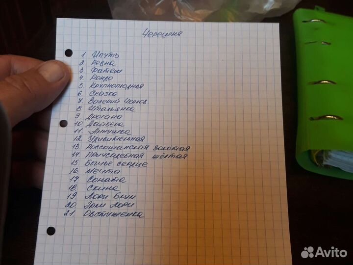 Саженцы черешни