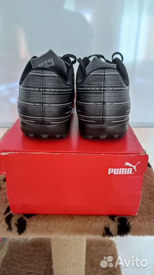 Бутсы (сороконожки) Puma Rapido lll TT