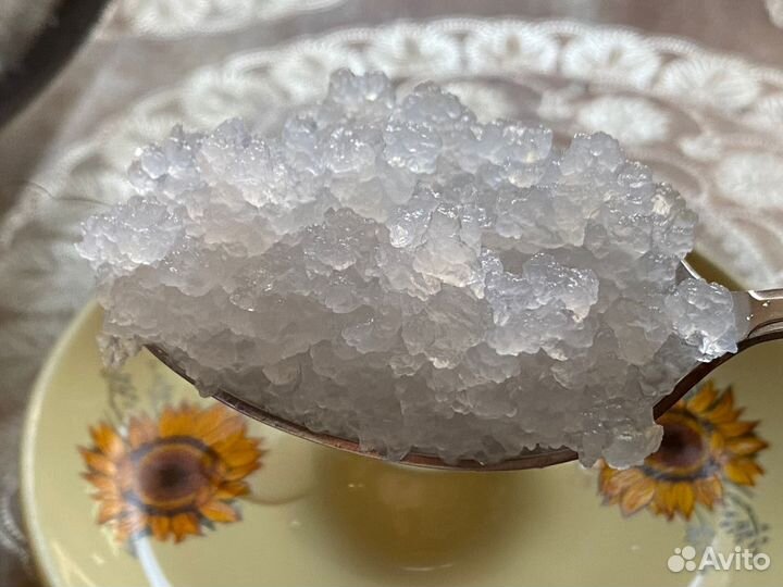 Индийский морской рис