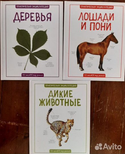 Энциклопедии для детей