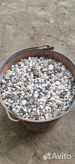 Грунт для аквариума