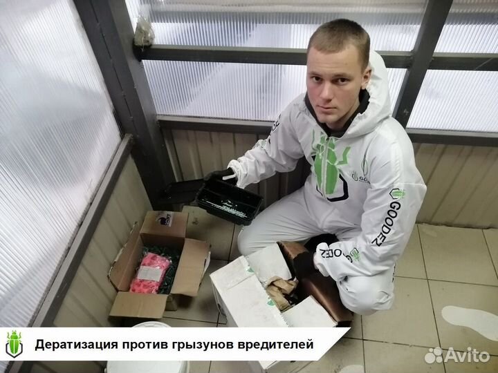 Дезинфекция и Дезинсекция от Честного Мастера