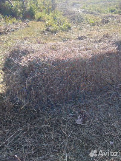 Сено Горный