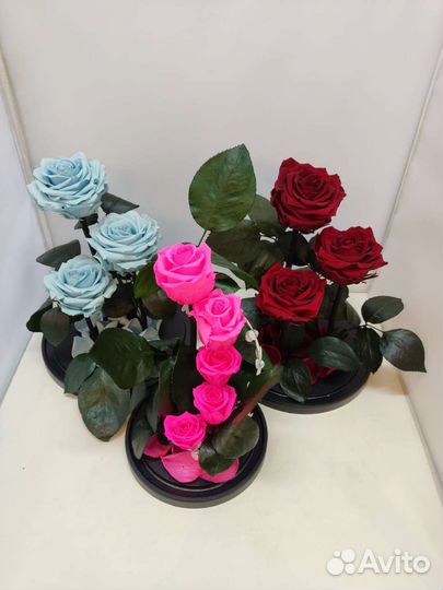 Роза в колбе