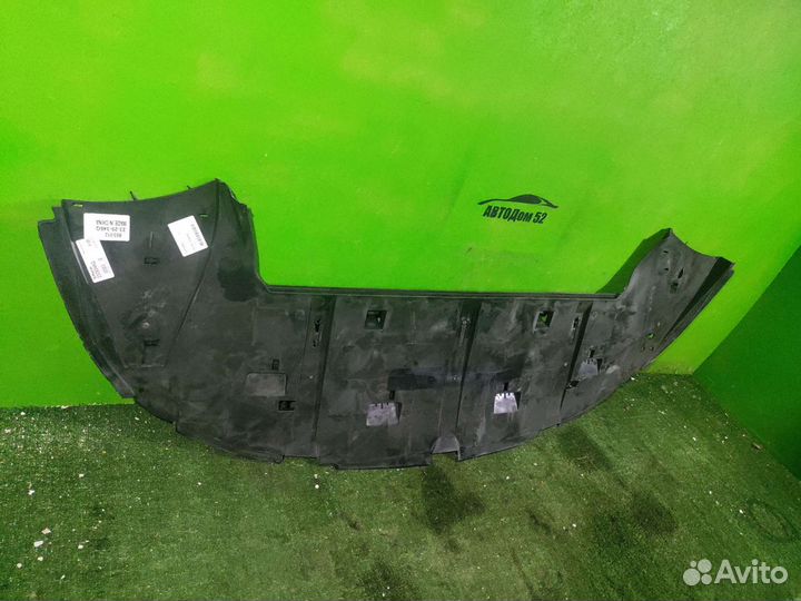 Защита переднего бампера Citroen C4 1