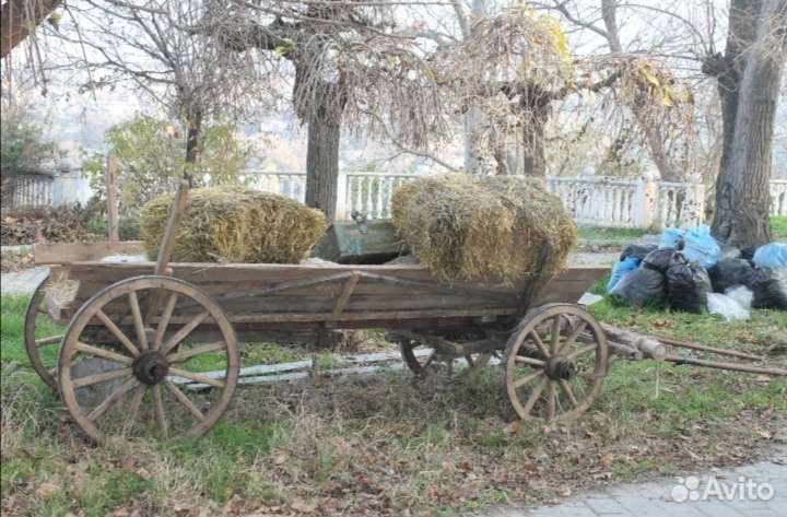 Телеги, фаэтон