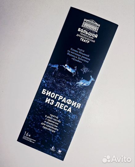 Биография из леса
