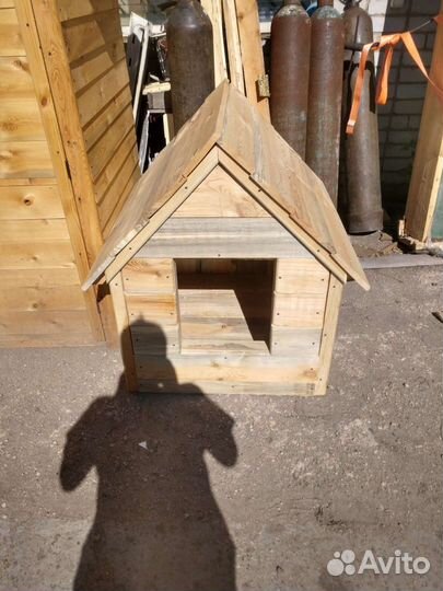 Собачья будка