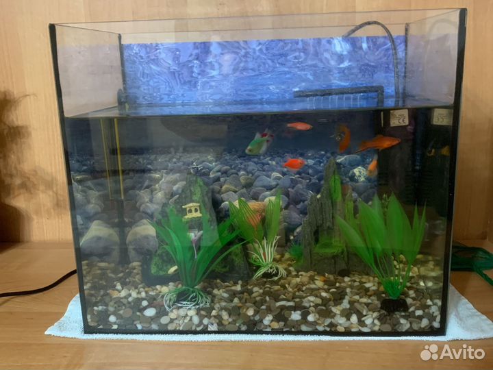 Аквариум