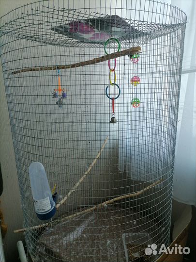 Клетка для попугая большая