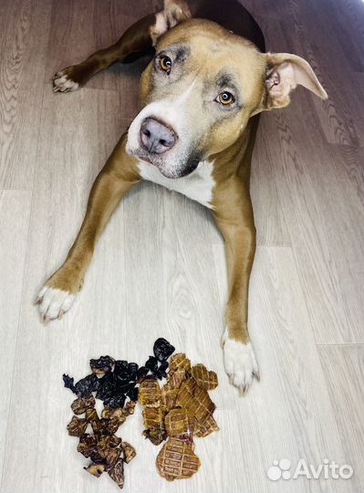 Лакомства для собак