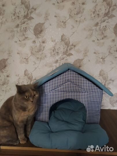 Домик для кошки