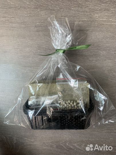 Набор для выращивания микрозелени