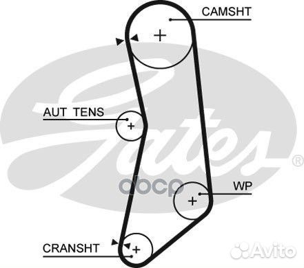 129x22 Ремень грм;fiat punto, grande punto 1.2