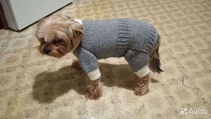 Свитер, комбинезон, жилетка вязаные для собак