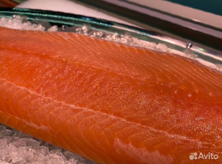 Лосось филе слабосолённый. Улов 2023