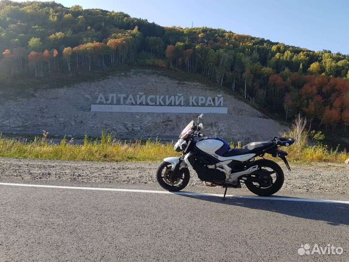 Suzuki Gladius SFV 400