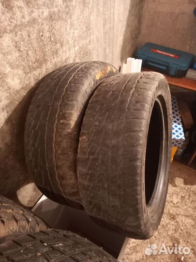 Cordiant Winter Drive 205/55 R16