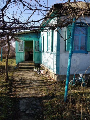 Погода черниговская белореченского. Краснодарский край Белореченский район станица Черниговская. Станица Гурийская Краснодарский край. Станица Пшехская Краснодарский край. Станица Черниговская Белореченского района.