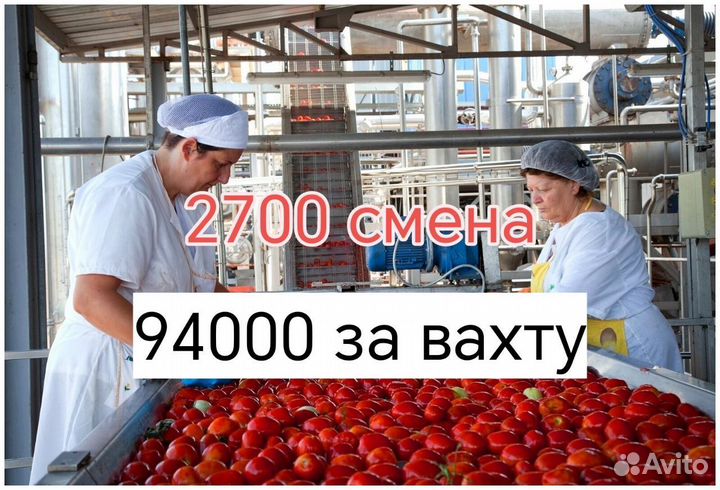 Вахта в Людиново упаковщик овощей с проживанием