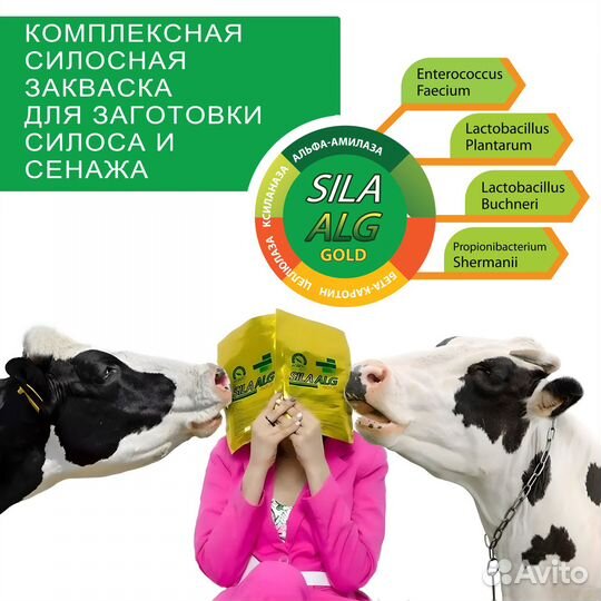 Консервант для заготовки кормов