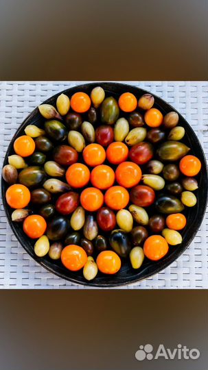 Коллекционные сорта томатов