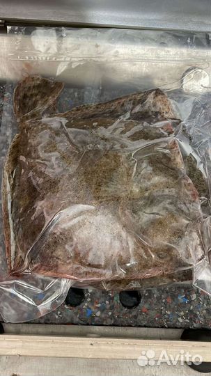 Камбала Азовская Калкан