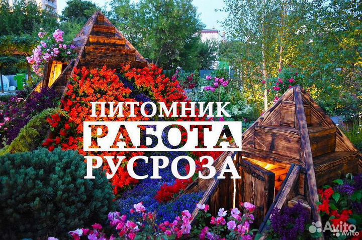 Работники на посадку растений