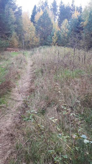 Участок 6 сот. (СНТ, ДНП)