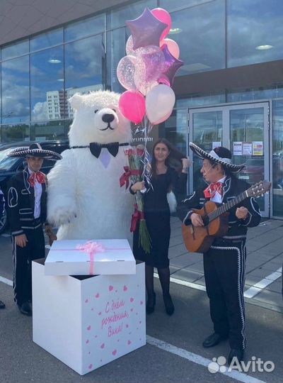 Белый мишка на поздравление «Mishki Show»