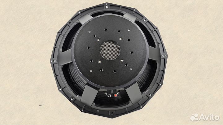 Динамики 21 дюйм 2500/5000 вт aes