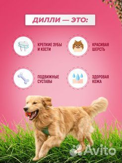 Корм для собак Дилли. Рыба рис