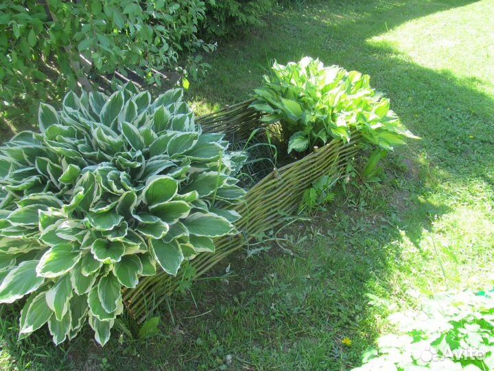 Декоративный заборчик из лозы