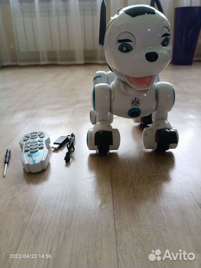 Робот-собака