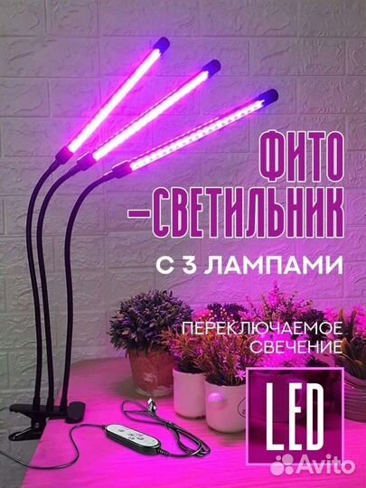 Фитолампа для растений