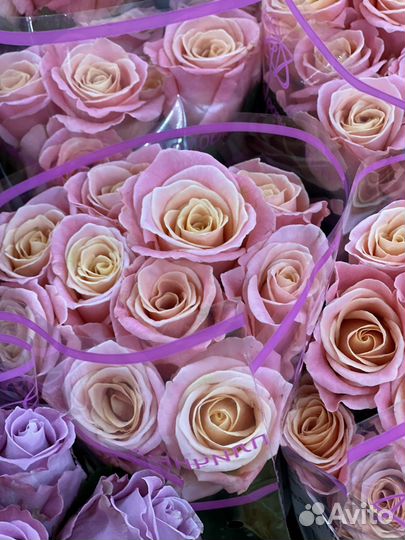 Букеты из 101 розы, 51 розы, 25 роз с доставкой