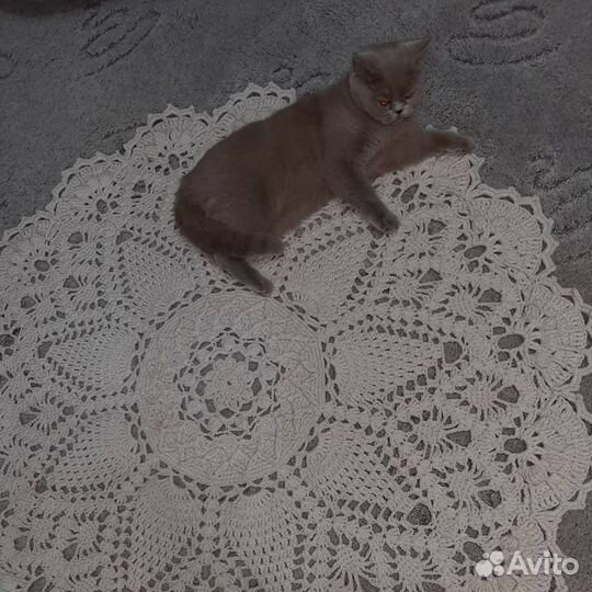 Коврик на пол