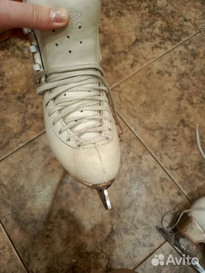 Коньки фигурные edea overture 205