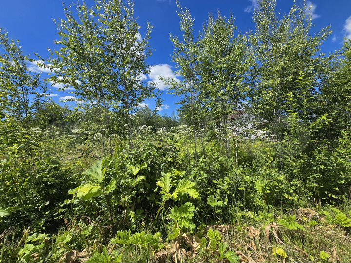 Участок 14 сот. (ИЖС)