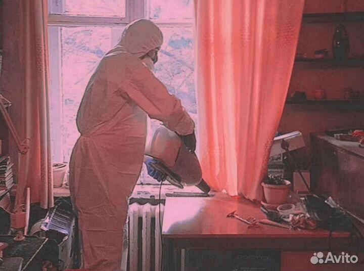 Обработка от насекомых, крыс, клопов