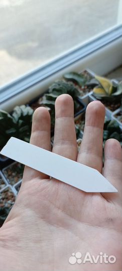 Бирки метки для цветов