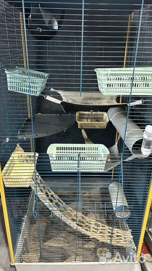 Клетка Furet Tower XL (с наполнением)