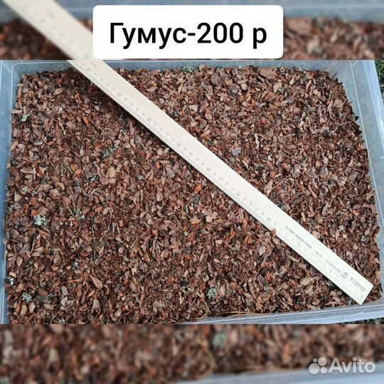 Кора сосновая гумус